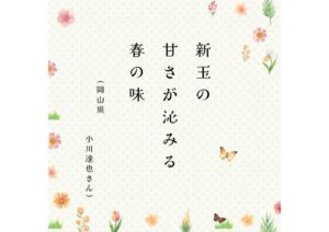 オレンジ　ベージュ　グリーン　ピンク　シンプル　ナチュラル　かわいい　季節　俳句　インスタグラム　投稿 (5) (1)のサムネイル